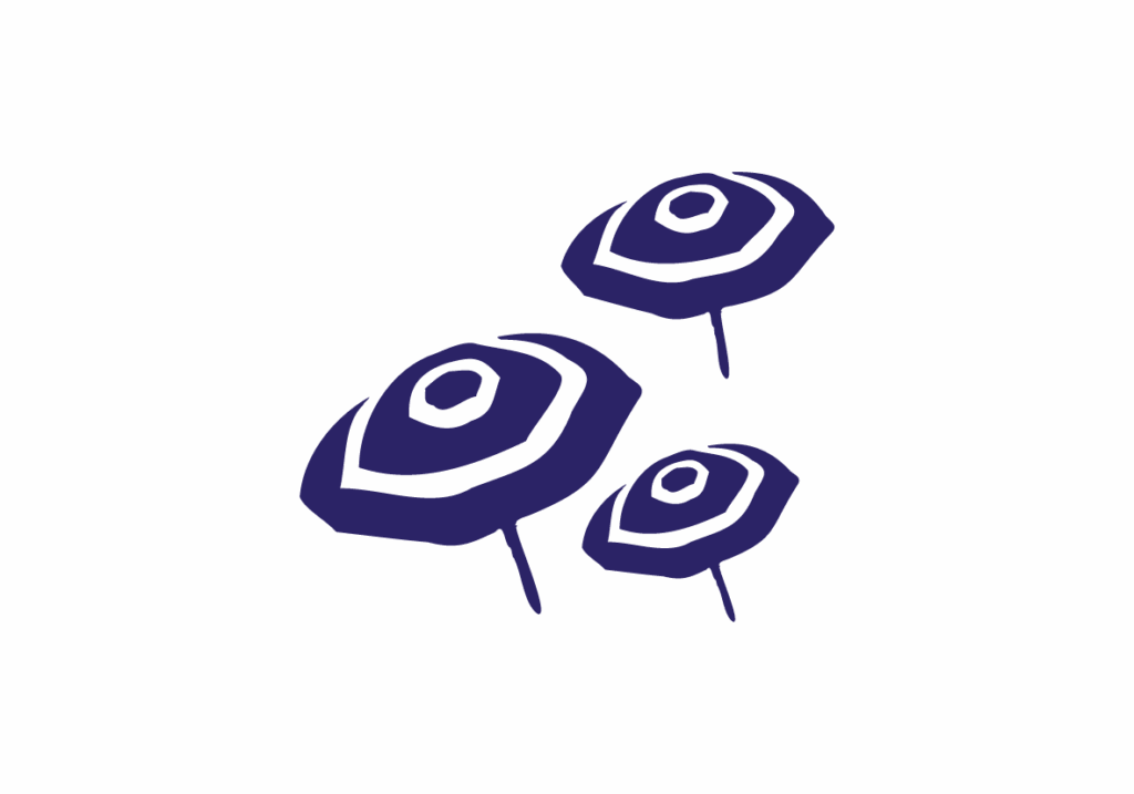 Eden Explorers - De la Terre à la Mer. Microaventures - Randonnées - Navigation - Calvados